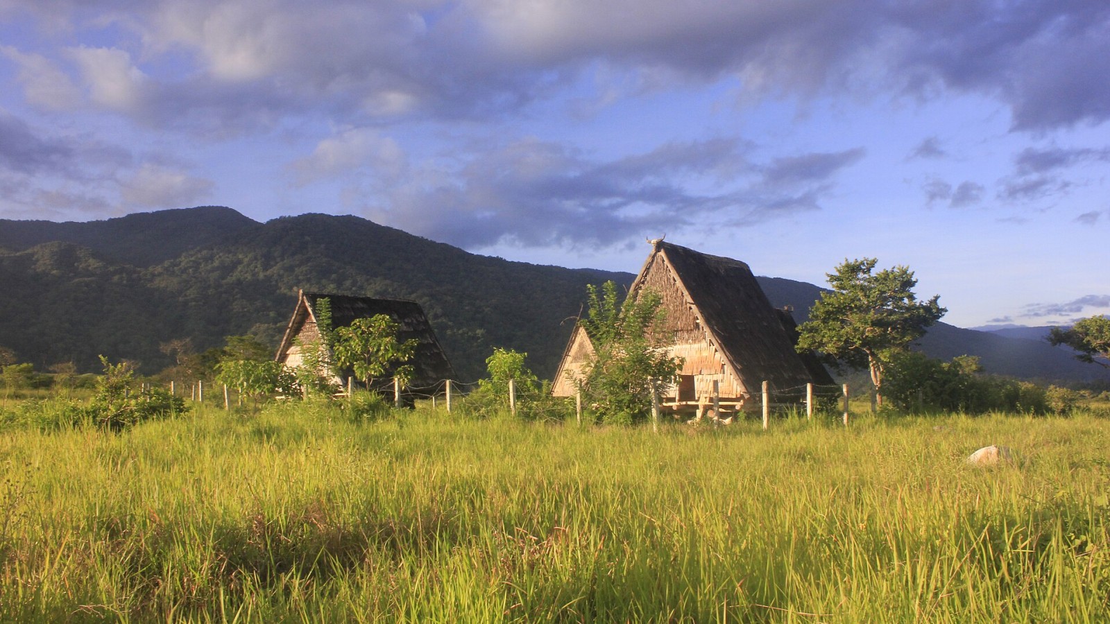 Tambi is the traditional architecture of the people of the valley lore long lost, which is not occupied again by the local population influence of modernization, some tambi still standing strong, be an artifact, recordin