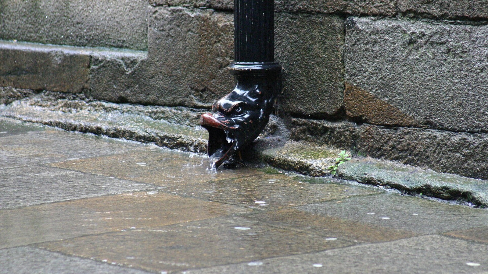 Gutter