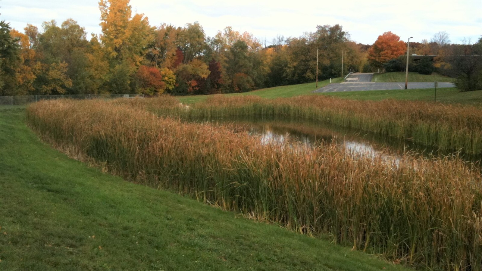 Stormwater detention pond in Greendale, Wisconsin. Located in College Park, north of College Avenue. Built in 2010 as part of Milwaukee County's College Avenue road reconstruction project. Photo taken October 2012. Origi