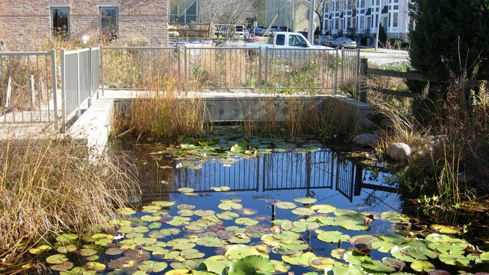 Manmade pool / water feature at Urban Ecology Center in Milwaukee, Wisconsin. Partly fed by stormwater runoff overflow from a rainwater harvesting system installed at the site. October 2012.