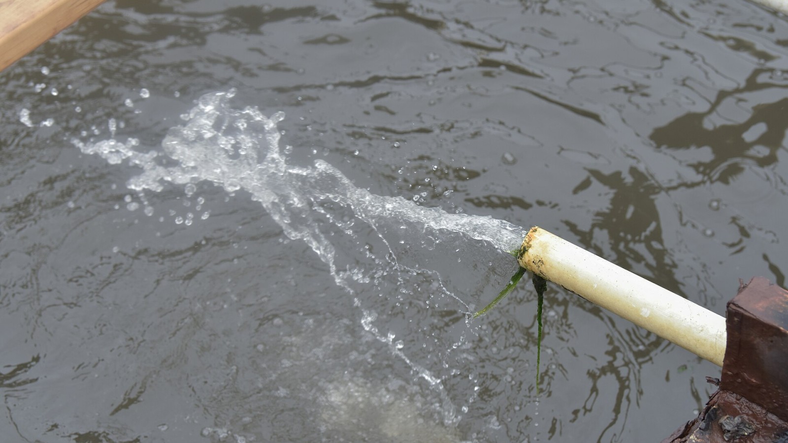 Incoming wastewater flows into one of the aging wastewater treatment tanks on Smith Island, MD, on April 3, 2024. [the following is excerpted from an April 22, 2024, story by Emily Cannon. To see the full story go to www